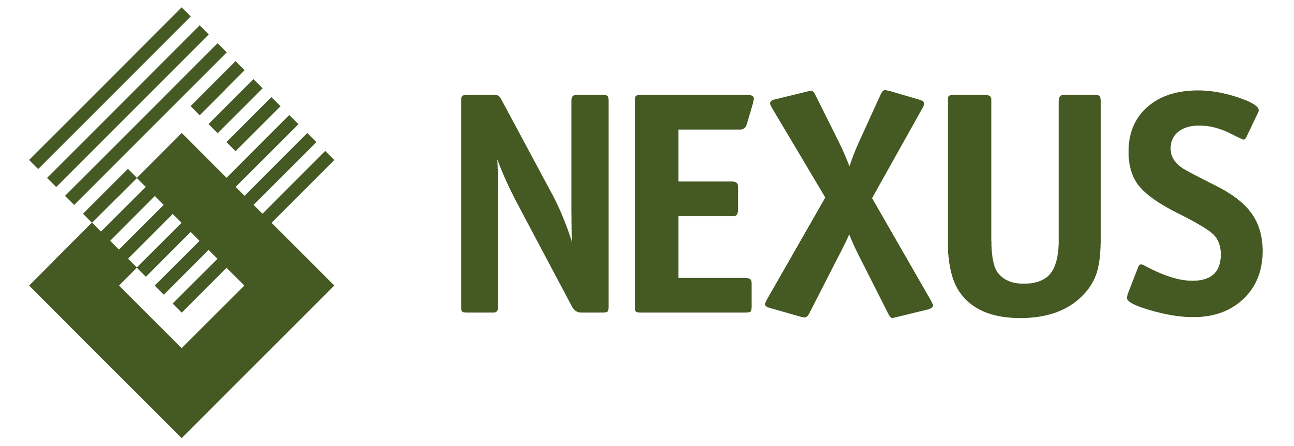 Logo_NEXUS_final NT-01